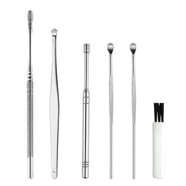 6Pcs Ear Pick Set Stainless Steel Earpick Ear Wax Curette Remover Ear Cleaner Spoon Spiral Ear Tool with Case