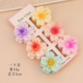 thumbnail image 1 of Clearance Items! Candy Frangipani Grippers Candy Frangipani Grippers Candy Frangipani Grippers Candy Frangipani Grippers Candy Frangipani Grippers 6pcs Deal of the Day!, 1 of 1