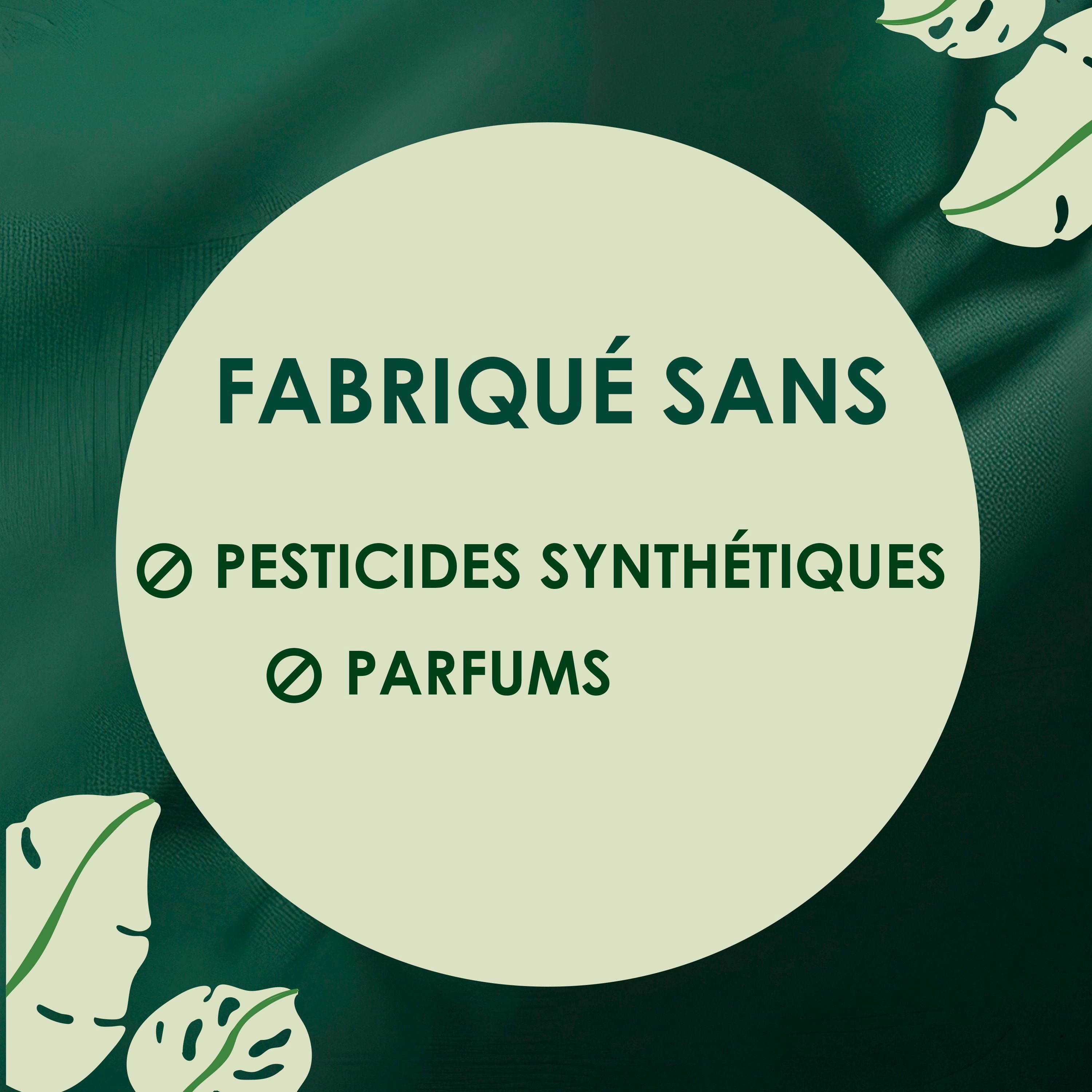 L. Serviettes Ultra-Minces pour Femmes, Voile Supérieur en Coton Biologique, Absorption de Nuit, Serviettes Menstruelles avec Ailes 36 Unités