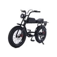 thumbnail image 1 of GoTyger 500W 2 Seated 20 in. 4.0 Fat Tire eBike, 1 of 5