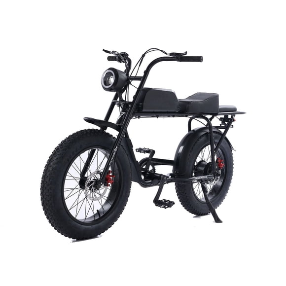 GoTyger 500W 2 Seated 20 in. 4.0 Fat Tire eBike