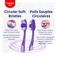 thumbnail image 3 of Colgate Extra Propre Brosse à Dents Écono, Souple, 3 of 6