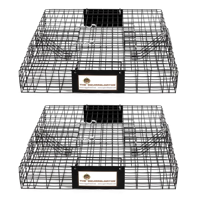 Rugged Ranch SQRTO Squirrelinator Squirrel 2 Door Trap Cage (2 Pack) featuring two black metal wire cages with dual-door entry for humane squirrel trapping. Each cage measures 24.5 x 24.5 x 5 inches and can capture up to 25 squirrels. The easy-open top allows for safe release, and the compact design is suitable for transport. Ideal for outdoor pest control.