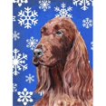 thumbnail image 1 of Carolines Treasures SC9594CHF Irish Setter Bleu Flocon de Neige Hiver Drapeau Toile Maison Taille, 1 of 4