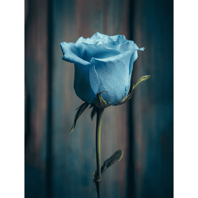 Blue Rose Floral Inspirational Canvas Wall Art 15.75x11.81 Inches