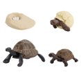 thumbnail image 1 of Plastic Animals Figures 4 Piece Insect Figure Animal Life Cycle Plastic Brood to Mature Period, 1 of 3