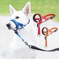 thumbnail image 4 of No Pull Dog Head with Soft Padding for Leash Training and Easy Walking Control, 4 of 6