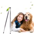thumbnail image 2 of Stainless Steel Double Ended Dental Calculus Removal Tool  Dog Tooth Scraper Plaque Tartar Remover  Tooth Scaler For Dogs And Cats, 2 of 8