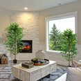 thumbnail image 4 of HOMCOM Ensemble de 2 Arbres Artificiels Ficus de 6 Pi pour Décoration Intérieure de la Maison, 4 of 10