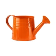 Modern Metal Watering Can for Indoor and Outdoor Gardening Use with Ergonomic Handle and Efficient Sprinkler Head