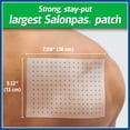 thumbnail image 3 of Salonpas Pain Relieving HOT Capsicum Patch, 3 Count (12 Pack), for Back, Neck, Shoulder, Knee Pain and Muscle Soreness, 8 Hour Pain Relief, 3 of 6
