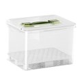 thumbnail image 1 of yuksok Kimchi Container 10.5 L Food Storage Box for Pantry Household Storing Kimchi, 1 of 9