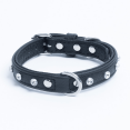 thumbnail image 1 of Collier pour Chien en Cuir ATHENS à une Rangée avec Strass, 1 of 3