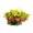 A, variant on CBFFDC Pollution-free Fish Decor Simulation Water Grass Artificial Plants Realistic Colors DIY Fish Tank Decor Easy Care Fish Safe Aquarium Decorative Accessories
