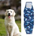 thumbnail image 3 of CBFFDC Leakproof Dog Diapers Male Dog Belly Band Diapers Fastener Adjustable High Absorbency Leakproof Comfortable Training Incontinence, 3 of 7