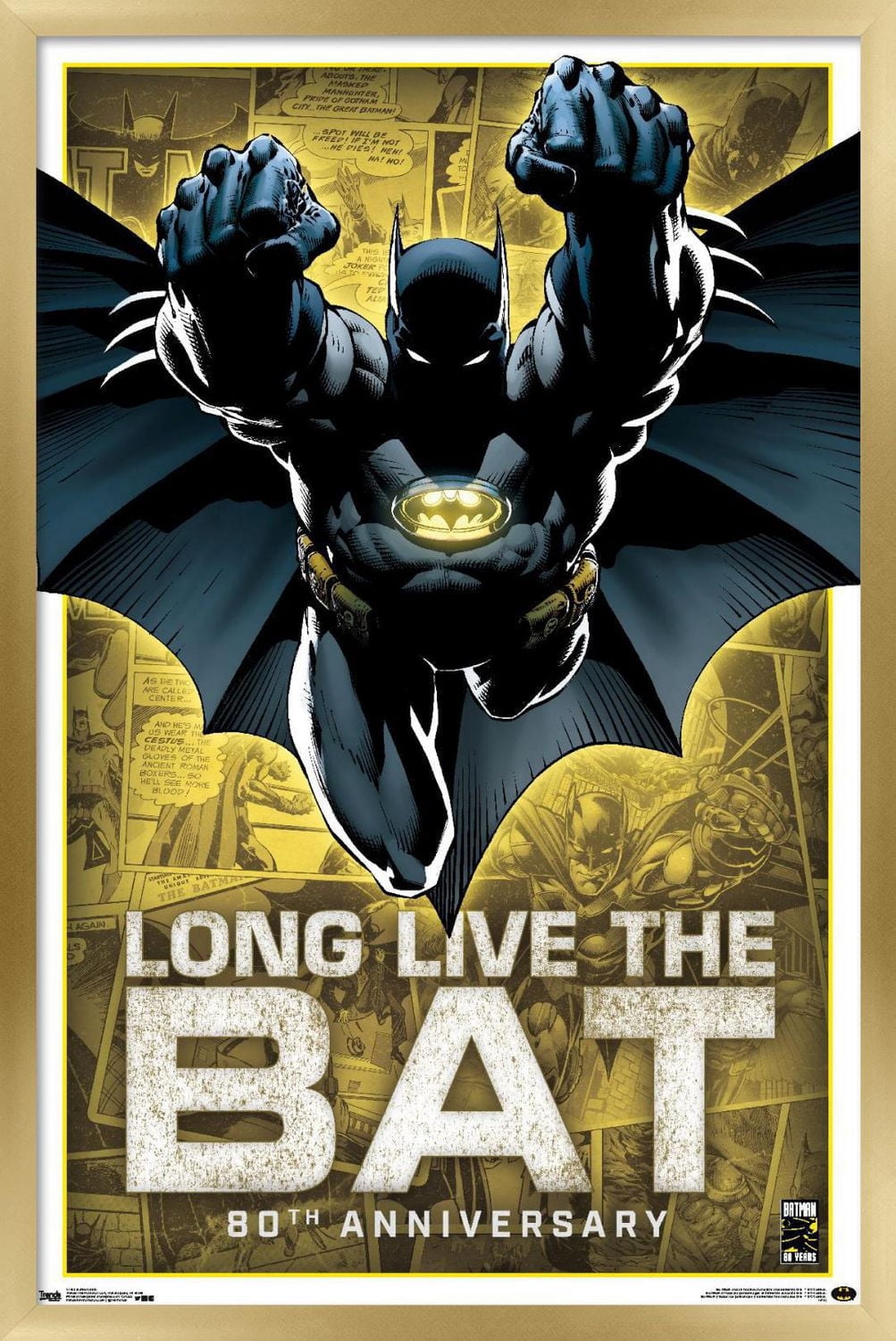 DC Comics - Batman - 80th Anniversary Wall Poster, 22.375" x 34"