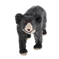 thumbnail image 4 of Modèle d'Animal Statique Figurine d'Action Jouet pour Enfants et Adolescents Réaliste Ours Soleil, 4 of 9