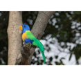 thumbnail image 3 of veasfak Artificial Foam Feathered Simulation Birds DIY Party Crafts Ornament Props Home Parrot 2, 3 of 6