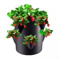 thumbnail image 2 of Strawberry Planters Outdoor Garden Planting Pots With 6 Side Grow Pockets, 2 of 5