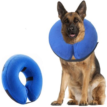 Collier, Collier Gonflable pour Chien Collier Protecteur