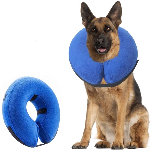 Collier, Collier Gonflable pour Chien Collier Protecteur