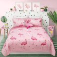 thumbnail image 1 of Safdie & Co. Courtepointe 2PC Ens T Flamant Rose, 1 of 3