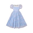 thumbnail image 1 of Girl Dress Tulle Ice Blue Embroidered Star Party Princess Pageant 7 Years, 1 of 6