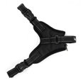thumbnail image 2 of Dog No Pull Adjustable Vest Harness  Pet Nylon for Small Medium Large/XL Dog, 2 of 4