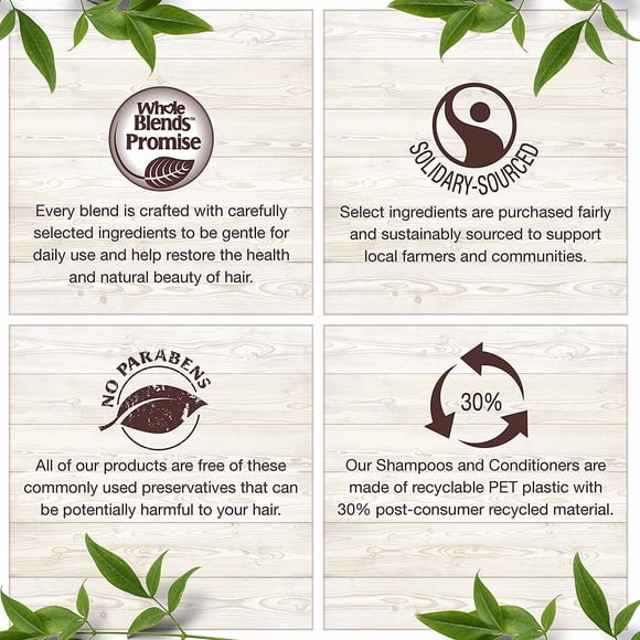 Garnier Whole Blends