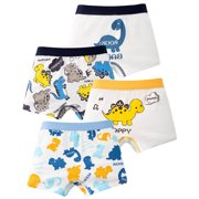 Dinosaur Underwear for Boys Teen Boys Underwear Briefs Drive Underwear Small Color Transformer Boys Underwear Boy Underwear Brief Boys Briefs Medium Bunny Tail Underwear Boys Brief Underwear Teen