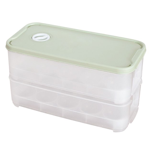 facefd Boîte de Rangement pour Ufs 20 Compartiments, Conteneur de Rangement pour Ufs à Double Couche, Plateau à Ufs en Plastique avec Couvercle, Vert Clair Type2