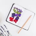 thumbnail image 5 of Iumwxz Colorful Natural Dried Flowers And Embossed Decorative Set home decor Multicolor Plastic Clearance Sales, 5 of 5