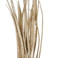 thumbnail image 4 of GT CHAMPAGNE GD PICK, 4 of 4