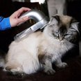 thumbnail image 4 of Estbridge leaveforme Handheld Rechargeable Pet Dog Cat Hair Fur Remover Vacuum Cleaner Comb Trimmer, 4 of 7