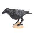 thumbnail image 4 of Luzkey Miniature Parrot Bird Animal Sculpture Learning Tools Realistic Science Animals Learning Parrot Figurines Toy Micro Landscape, 4 of 8