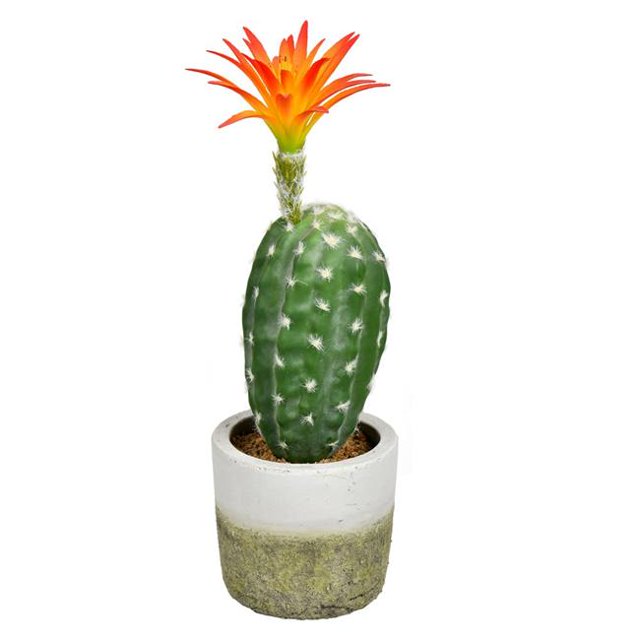 Vickerman FH192601 12 in. Green Potted Cactus Plastic Planter Pot