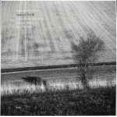 thumbnail image 2 of COHEN , AVISHAI NAKED TRUTH (LP), 2 of 2