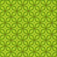 thumbnail image 1 of Ahgly Tapis d'Intérieur Lavable en Machine Carré Vert Lime Foncé, 8 Pieds Carré, 1 of 7
