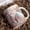 A, variant on EGNMCR Cups 350ml Easter Bunny Ceramic Coffee Mug Tea Cup Valentine's Day mug mug