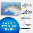 thumbnail image 3 of National Geographic Kit de fouilles sur les requins, 3 of 6