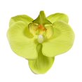 thumbnail image 1 of 10pcs Imitation Decorative Phalaenopsis Realistic Design Fake Flowers for Wedding Centerpieces Decoration, 1 of 2