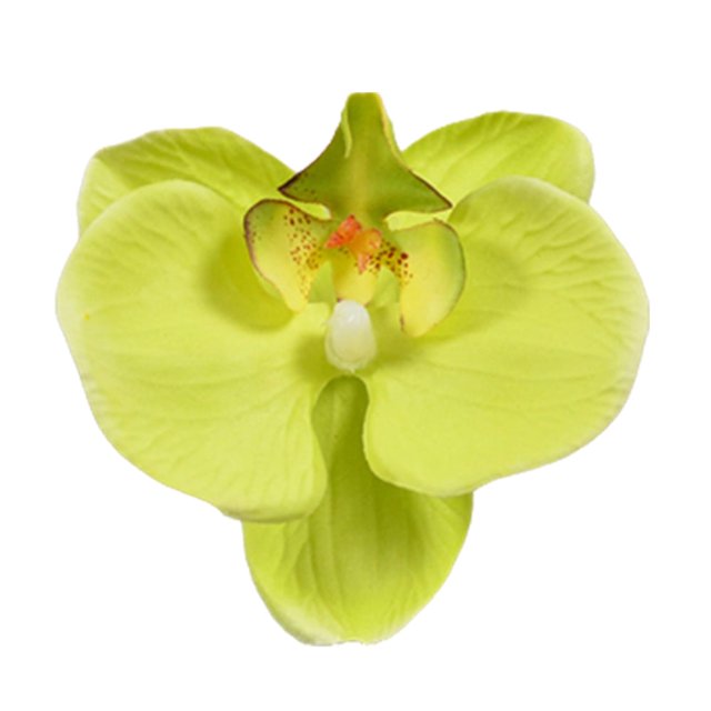 10pcs Imitation Decorative Phalaenopsis Realistic Design Fake Flowers for Wedding Centerpieces Decoration