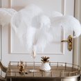 thumbnail image 4 of Ostrich Feather 30-35Cm Color Feather Decoration 2# Light Pink A Feather (1*Feather), 4 of 7