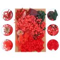 thumbnail image 3 of Unique Bargains Fleurs Séchées Naturelles Multiples Colorées Véritables Fleurs Pressées Séchées Plante Série Rouge, 3 of 5