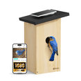 thumbnail image 1 of Birdfy Smart Birdhouse with Camera, Solar-Powered Outdoor Bird House, Perfect Viewing of Bird Nesting and Hatching, Record Every Stage of Bird Growth,Ebony, 1 of 12