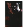 thumbnail image 1 of Un cauchemar sur Elm Street - Freddy Portrait, 1 of 4