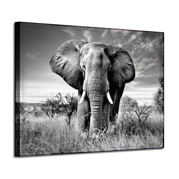 ARTISTIC PATH Elephant Picture Canvas Wall Art: African Wild Animals Artwork Painting Print for Living Room (36''W x 24''H,Multi-Sized)