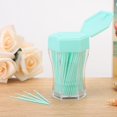 thumbnail image 3 of Toothpick 200pcs Double Head Toothpick Household Cleaning Tartar Removal Toothpick, 3 of 8