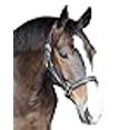 thumbnail image 3 of Henri de Rivel Padded Crystal Halter - Black - Cob, 3 of 3
