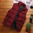 thumbnail image 2 of Veste Sans Manches Homme Mode Homme Uni Col Montant Cardigan Sans Manches Veste Manteau Rembourré, 2 of 5